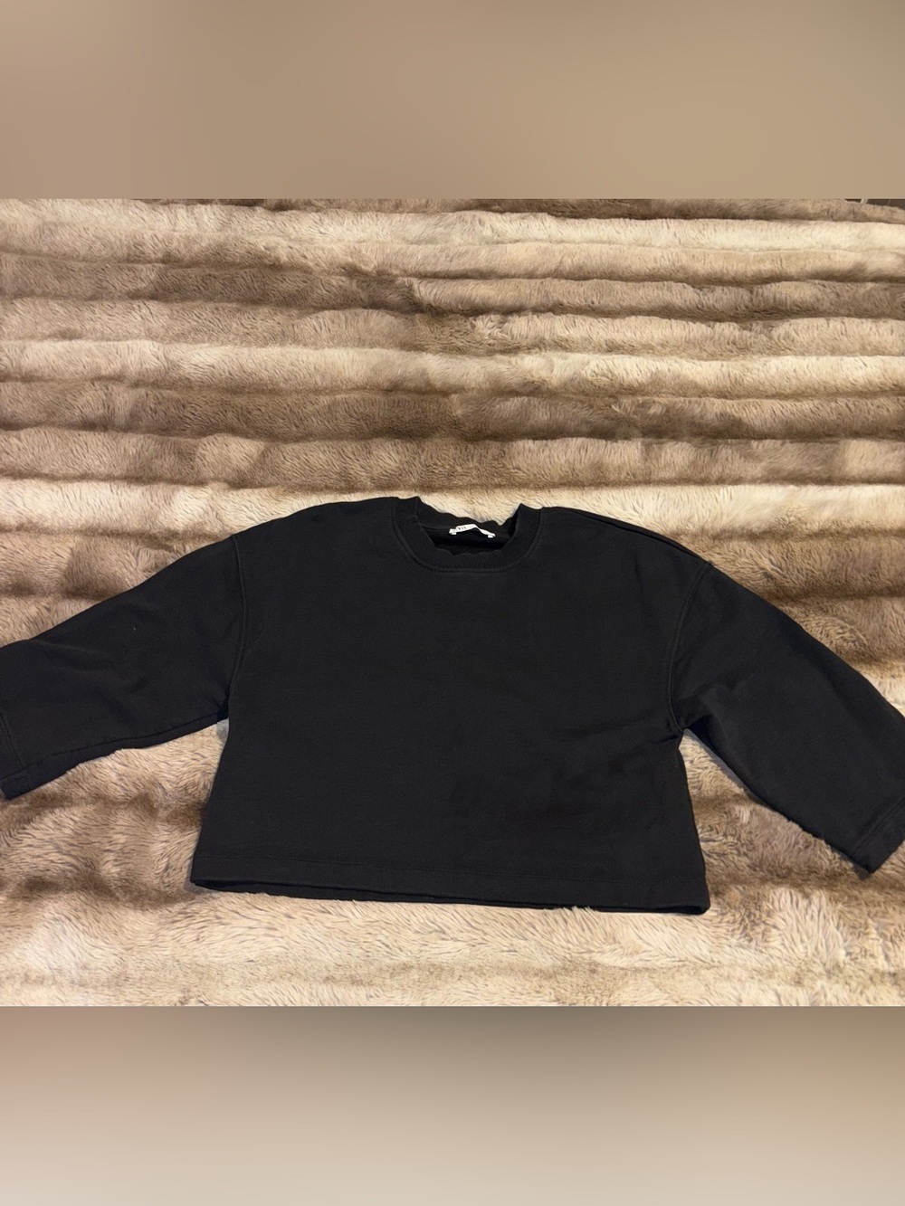 Womens Zara Black Cropped Crewneck Sweatshirt